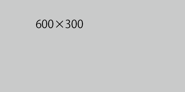 TEST　600　300